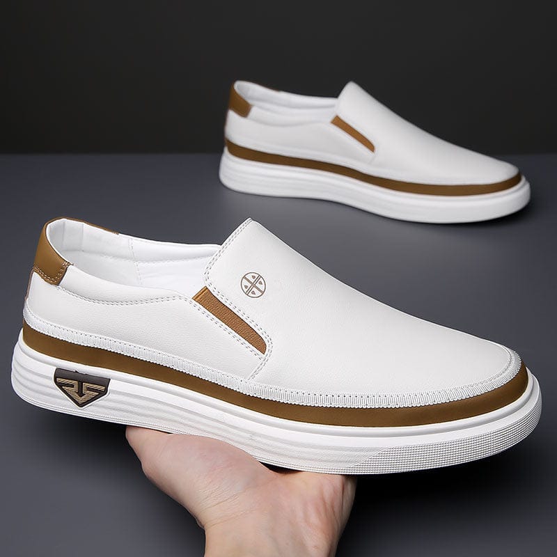 Cole Urban Comfort Loafer