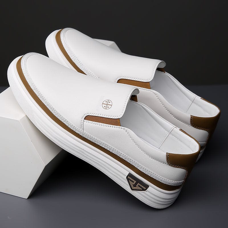 Cole Urban Comfort Loafer